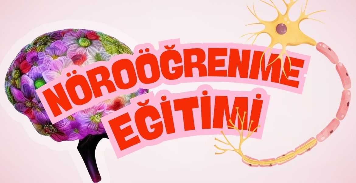 NÖROÖĞRENME EĞİTİMİ
